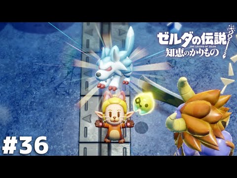 今作の最かわ魔物決定じゃん…【ゼルダの伝説 知恵のかりもの】＃３６