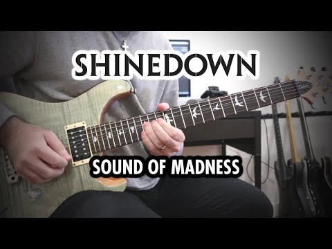 Shinedown - Sound of Madness (Guitar Cover)