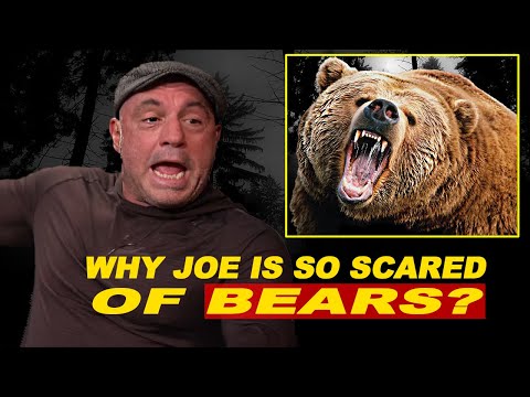 You Can Never Get Enough of Joe RoganTalking About Bears - (Compilation)