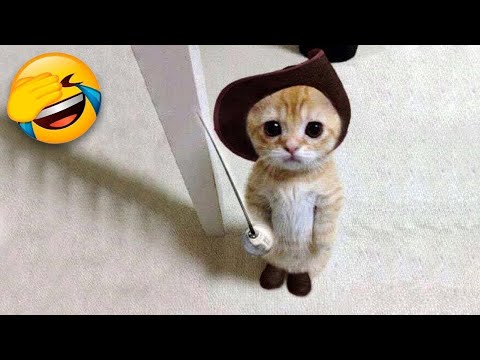 The FUNNIEST Pets That Will Make You Cry Tears of Joy!