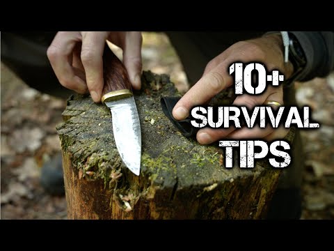 10+ Bushcraft Tips: Upside Down Fire | Survival Skills