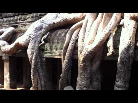 Angkor Wat　　タ・プロム・アンコールワット