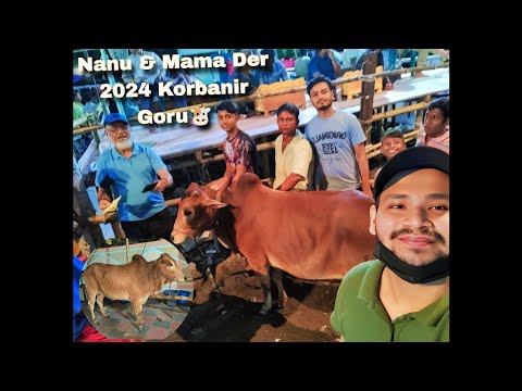 নানুদের ২০২৪ এর কোরবানির গরু কিনলাম 🐮| নানুদের গরু কেনার ভিডিও 🐄 | Abdur Rahman Mazumder | VLOG #20