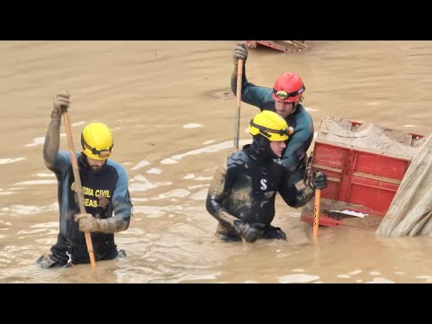 El Rey puso a su Guardia personal al servicio de los afectados por la DANA