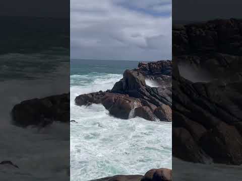 #Fishy #CanalRocks #WA #indianocean #australia #Holibobs #oct2023 #adventure #beachvibes #wa