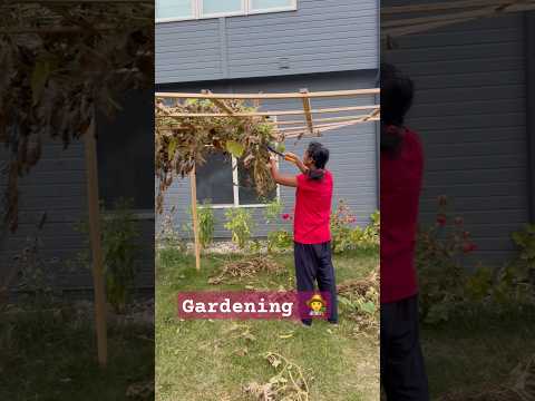 #gardening #backyardgardening #usateluguvlogs  #song #trending