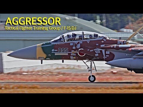 [ASMR 百里基地] 巡回教導訓練2023 アグレッサー F-15 新色機が飛来　JASDF Tactical Fighter Training Group F-15DJ Aggressor