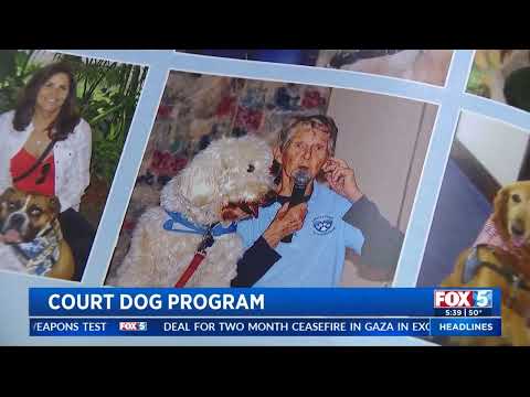 Fox5 San Diego: News Coverage of Court Dog Program