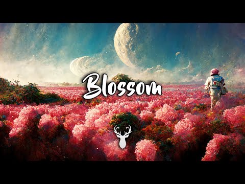 Blossom | Beautiful Chill Mix