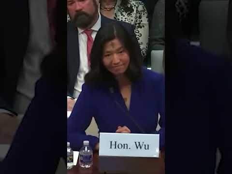 Highlights from Boston Mayor Michelle Wu's congressional hearing