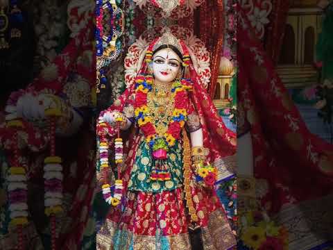 श्री राधा राधा 🙏radharani status। Barsana Radha Rani Holi#radhakrishna#radha#radheradhe#holi#barsana