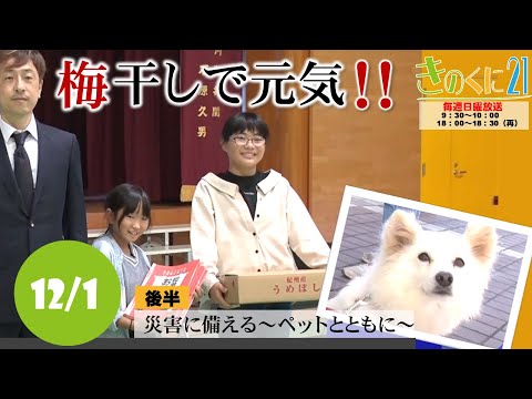 【和歌山県広報番組きのくに21】「梅干しで元気！！」「災害に備える～ペットとともに～」（2024年12月1日放送）