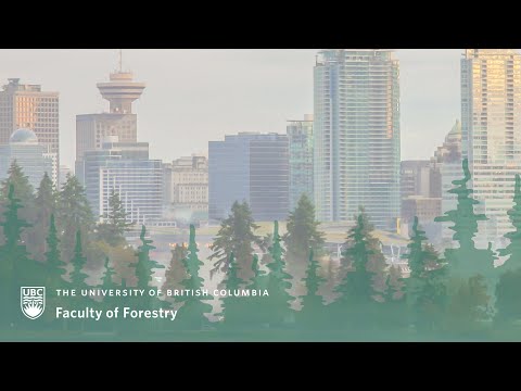 Urban Tree Trouble: Insights from Stanley Park - Webinar