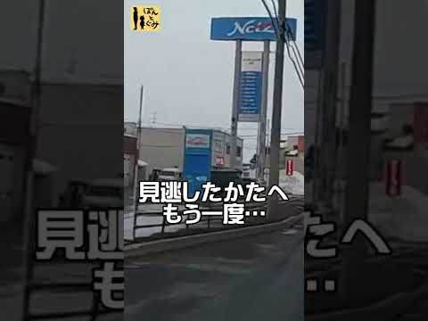 【ぽんとぐみヒヤリ】国道12号線飛び出し。だけど可愛い！？【北海道】