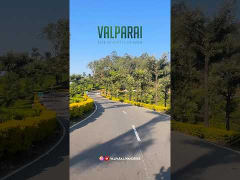 Tamil nadula iruka sorgam - Valparai #travel #valparaitrip #nature #valparaitourism #valparai