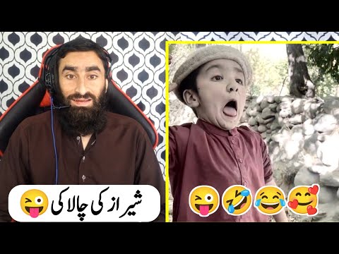 Shiraz funny vlog today | Shirazi village vlogs