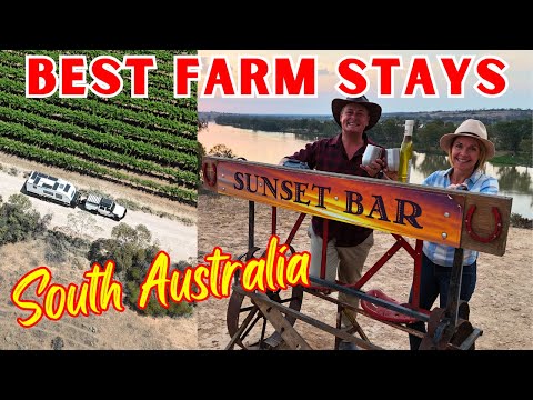 The BEST Sunset Bar + OFF GRID Farm Stay: 2 Campgrounds YOU MUST visit!