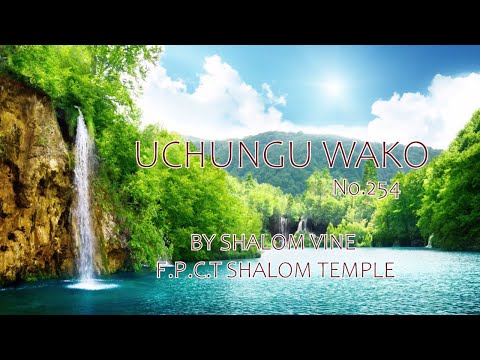 UCHUNGU WAKO YESU (AUDIO GOSPEL) | WIMBO WA WOKOVU | SHALOM VINE CHOIR