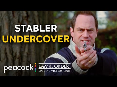 Stabler The Undercover Master | Law & Order