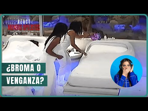 Dominique y Camila se vengan de Michelle, planean destruir su corona | React Mundos Opuestos