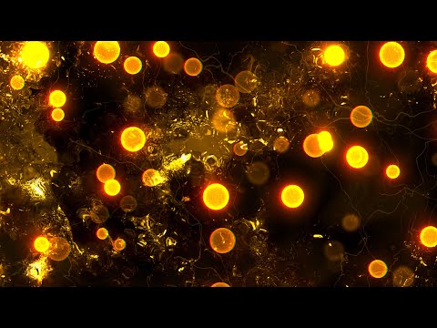 Golden Particles and Textures Animation Background video | Footage | Screensaver