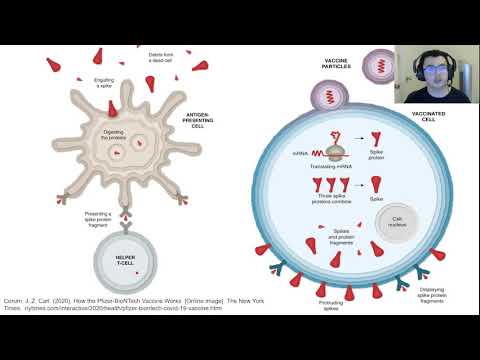 Students Talk Science - COVID-19:  Just The Facts: How the Pfizer mRNA Vaccine Works