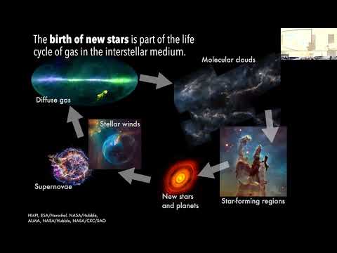 CITA 1019: Magnetism and morphology in the interstellar medium