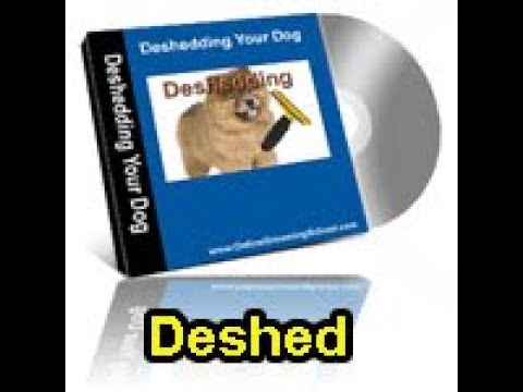 Learn How to Deshed Any Dog Grooming Video