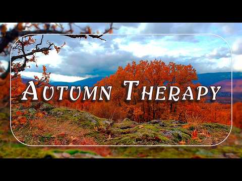 Autumn Therapy 🍂 Quiet December Morning Healing Frequency | Positive Energy Cold Ambience Meditation