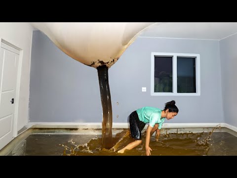 poop bubble flooded her house...