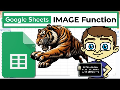 The Google Sheets IMAGE Function