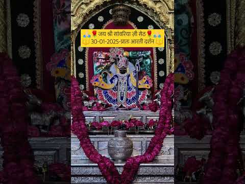 जय श्री सांवरिया ज़ी सेठ 30-01-2025-प्रातः आरती दर्शन #sanwaliya #sanwaliyaseth #mandfiya #shortsfeed