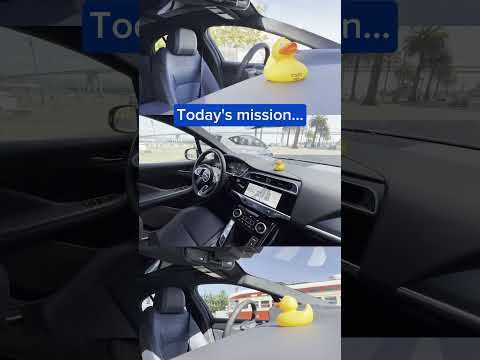 The CS50 Duck meets real-world AI in San Francisco. 🦆🚗