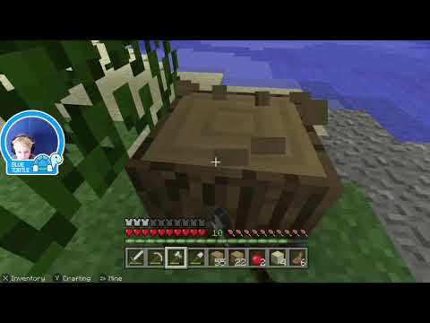 Blue Turtle makes a nice house in Minecraft | Blue Turtle