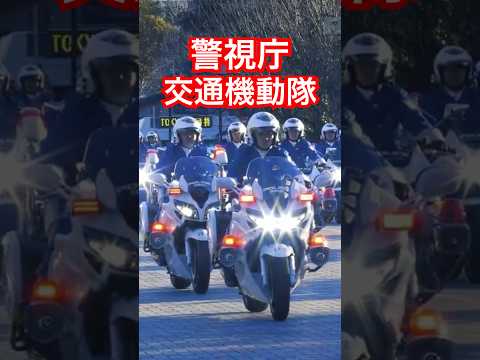 数えきれない数の白バイ！令和7年 #警視庁 #年頭部隊出動訓練 （分列行進/車両部隊）