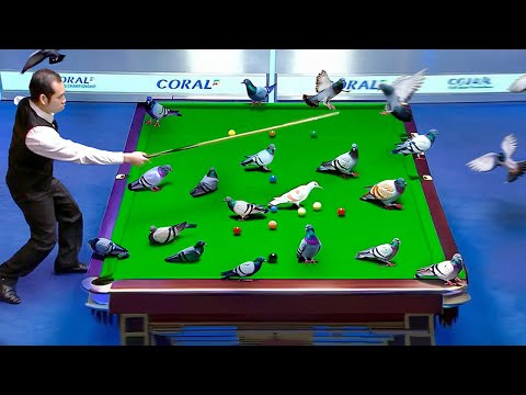 15 Most WTF Moments in Snooker History..