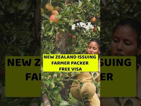 New Zealand Seasonal Work Visa 2025 | NEW ZEALAND 🇳🇿 FREE SEASONAL VISA 2025