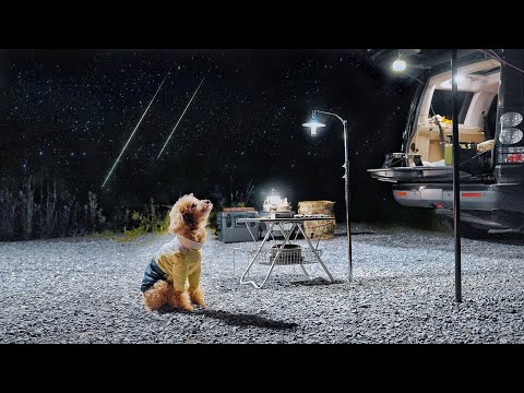 Solo Car Camping in Forest Mountain . Cozy Relaxing with My Dog . Wood Stove ASMR