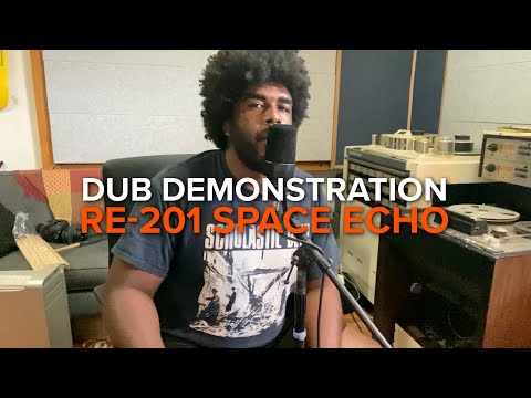 Recording Dub with Roland's RE-201 Space Echo software | Urian Hackney