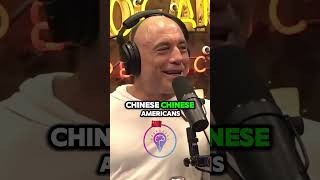 Joe Rogan Roasts America’s Math Team After Winning a Competition 🤣