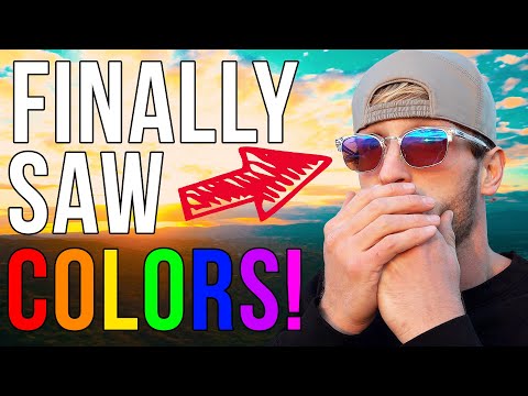 THESE GLASSES CURED MY COLORBLINDNESS! (AGAIN)