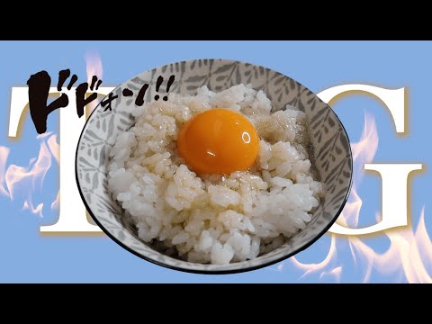 【飯テロ？】最強のTKG(卵かけご飯)