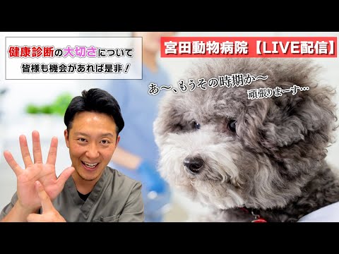 宮田動物病院 ライブ配信【MAHチャンネル】