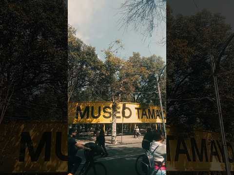 #tamayo #museum #museumvlog #museumcollection #museo #art #mx #cdmx #chapultepec #challenge #arte