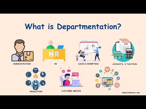 What is Departmentation? | Departmentalization