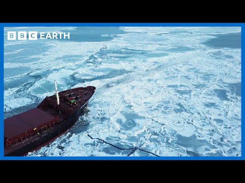 Hurricanes: How To Stop Them and What's a Hypercane | BBC Earth Science