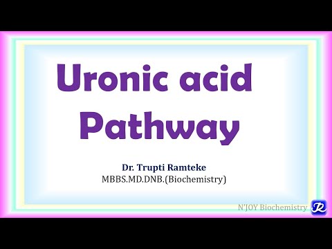 24: Uronic acid Pathway | Carbohydrate Metabolism | Biochemistry | N'JOY Biochemistry