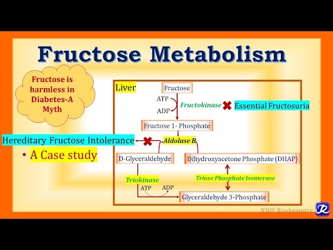 20: Fructose Metabolism & Associated Disorders | Carbohydrates Metabolism | Biochemistry