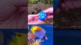 Animal Learning | Sea Creatures at the Stream for Kids: Tiger Shark Blue Shark Fish Jellyfish