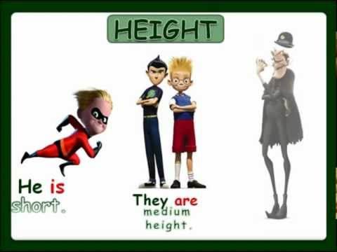 Physical Description: height and weight (with sound) - English Language